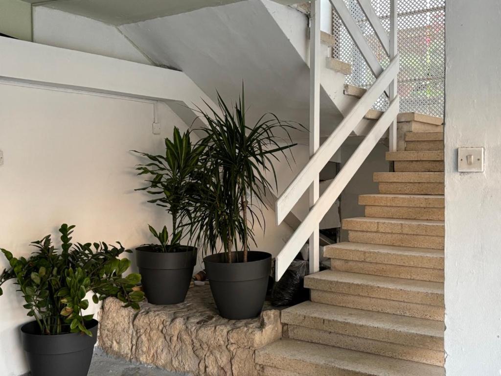 Venus Lighthouse 2B, Sea-View, Paphos Center 아파트 외부 사진